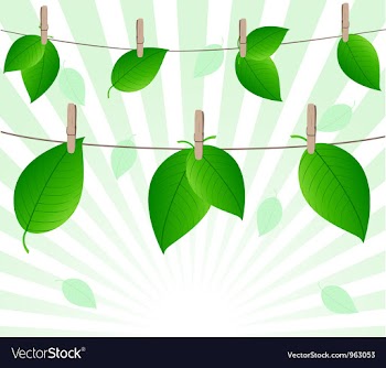 Leaves on ropes vector image
