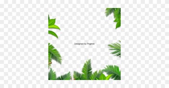 Leaves Palm, Leaves Palm, Leaf, Palm Png And Vector - Leaf