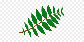 Leaves, Plant, Green, Nature, Twig - Leaf Clip Art
