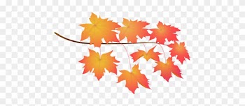 Leaves Red - Maple Leaf
