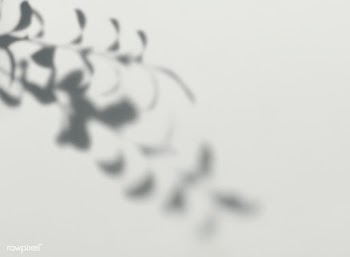 Leaves shadow on a wall | Free stock psd mockup - 555965