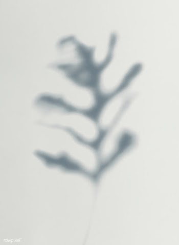 Leaves shadow on a wall | Free stock psd mockup - 555967