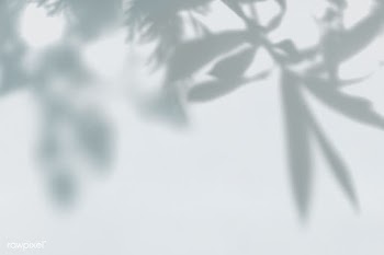 Leaves shadow on the wall | Free stock psd mockup - 556005