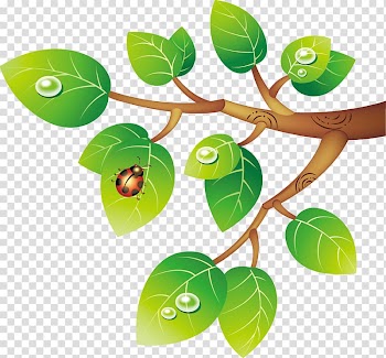 , Leaves transparent background PNG clipart