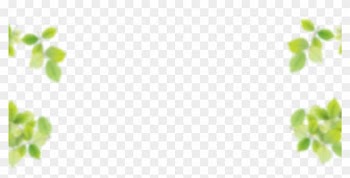 Leaves - White Background With Leaves Border Png