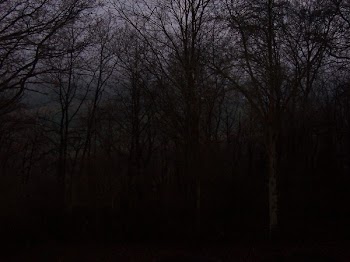 lebewesen_100_0796.JPG