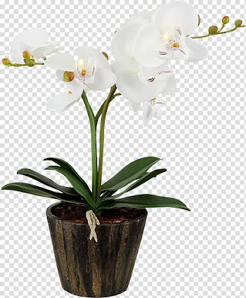 LED lamp Light fixture Incandescent light bulb, purple orchid transparent background PNG clipart