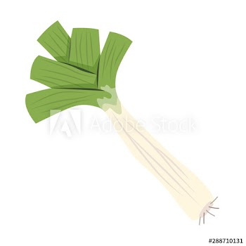 Leek green vegetable