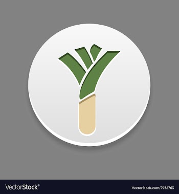 Leek icon Vegetable vector image