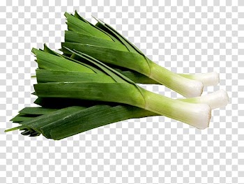 Leek Vegetable Garlic Fruit Onion, CEBOLLA transparent background PNG clipart