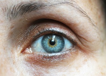Left Human Eye