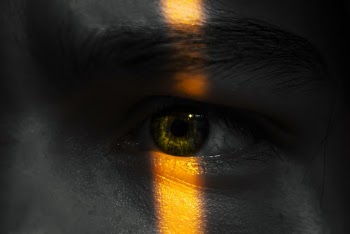 Left Human Eye