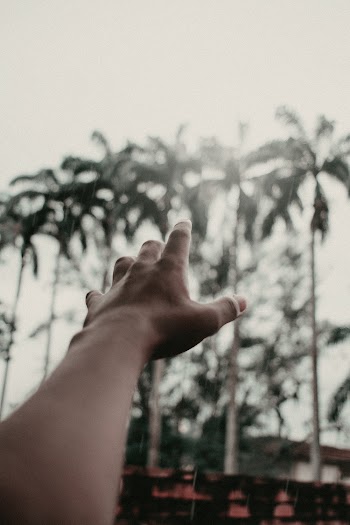 Left Human Hand