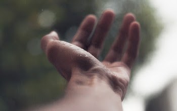 Left Human Hand