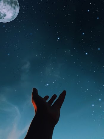 Left Human Hand