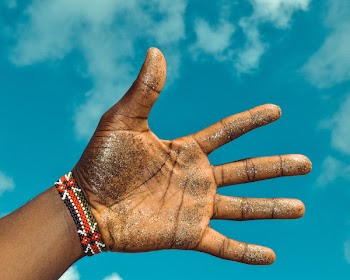 Left Human Palm