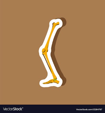 Leg bone paper sticker on stylish background vector image