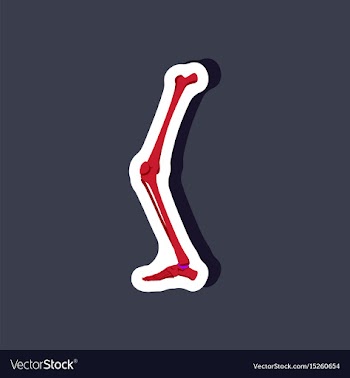 Leg bone paper sticker on stylish background vector image