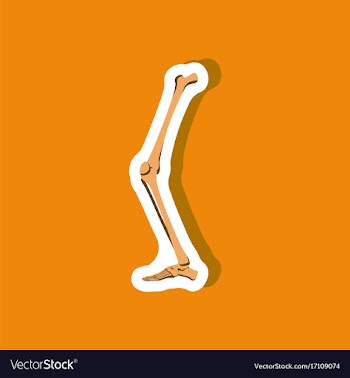 Leg bone paper sticker on stylish background vector image