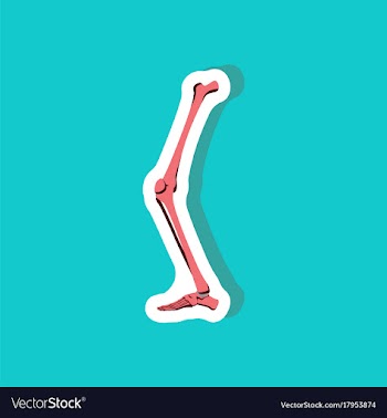 Leg bone paper sticker on stylish background vector image
