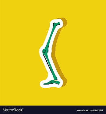 Leg bone paper sticker on stylish background vector image