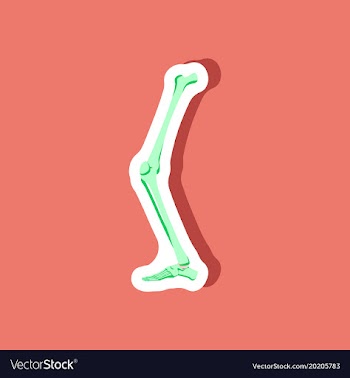 Leg bone paper sticker on stylish background vector image