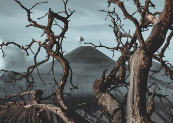 Legend has it that Java island was was once floating on the ocean, unstable and shaky. The Gods decided to move a piece of Mount Meru from India and nail it down to the earth so that the whole island of Java would stop moving. This new mountain ( the one in the picture) is then called Semeru.
