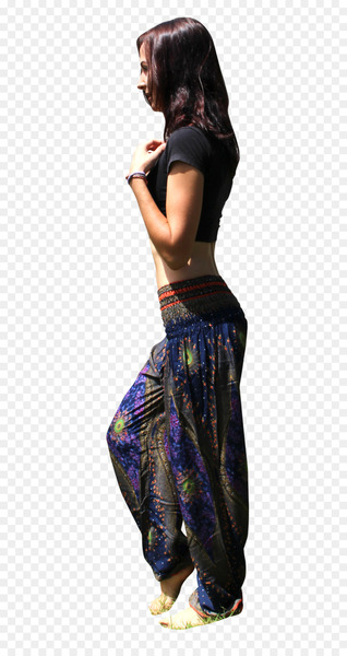 Leggings Waist Harem pants Knickerbockers - jeans 