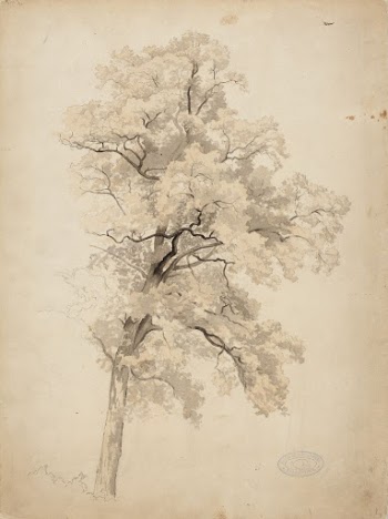 Lehtipuu, 1848 - 1860, Werner | Free Photo - rawpixel