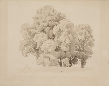 Lehtipuuryhmä, 1858, Werner Holmberg | Free Photo - rawpixel