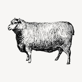 Leicester sheep clipart, vintage farm | Free Vector - rawpixel