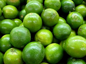 lemmons1_xenia.JPG