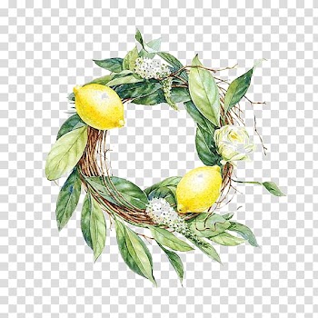 Lemon and green leaf wreath , Aloe vera Smile Mouth Dietary fiber Tooth, Lemon Border transparent background PNG clipart