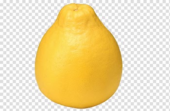 Lemon Citron Tangelo Grapefruit Citrus junos, Yellow color sand pomelo material transparent background PNG clipart