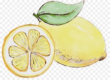 lemon citrus fruit yellow citron