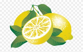 Lemon Clip Art Free Clipart Images 2 - Citrus Clipart