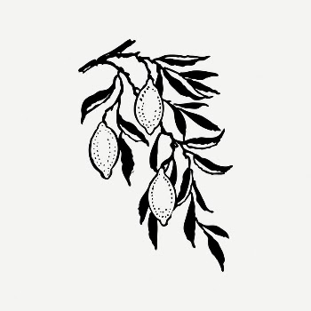 Lemon collage element, black & | Free PSD Illustration - rawpixel