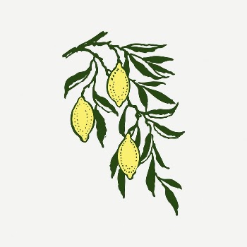 Lemon collage element, drawing illustration | Free PSD Illustration - rawpixel
