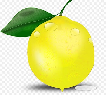 Lemon, Computer Icons, Drawing, Green, Leaf PNG