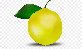 Lemon, Computer Icons, Lemon Juice, Green, Fruit PNG