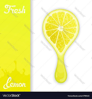 Lemon crush juice vector image