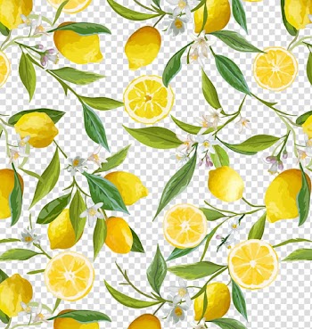 Lemon Flower , Fresh lemon border, sliced lemon illustration transparent background PNG clipart