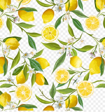 Lemon Flower Stock photography Clip art - Fresh lemon border 