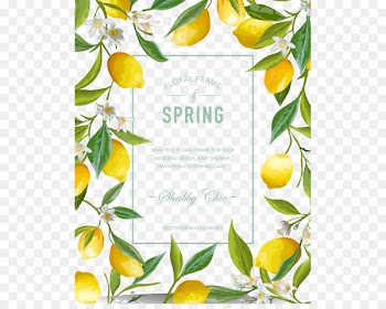 Lemon - Fresh lemon border 