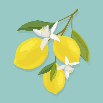 Lemon fruit clipart, realistic illustration | Free Photo Illustration - rawpixel