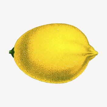 Lemon fruit clipart, vintage illustration | Free Vector - rawpixel