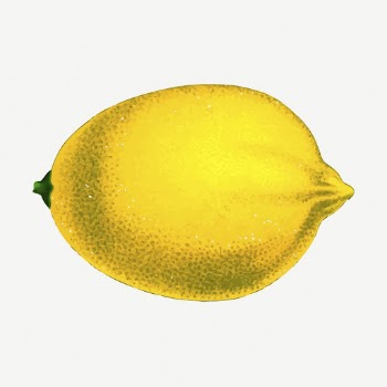 Lemon fruit collage element, vintage | Free PSD - rawpixel