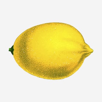 Lemon fruit hand drawn illustration. | Free Photo - rawpixel