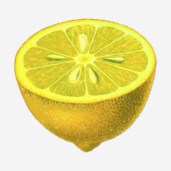 Lemon fruit hand drawn illustration. | Free Photo - rawpixel