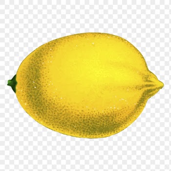 Lemon fruit png sticker vintage | Free PNG - rawpixel
